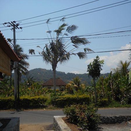 Lila Stana - Sidemen Homestay Екстер'єр фото